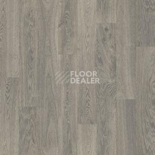 Линолеум Tarkett Bonus Bolton 4 фото 1 | FLOORDEALER